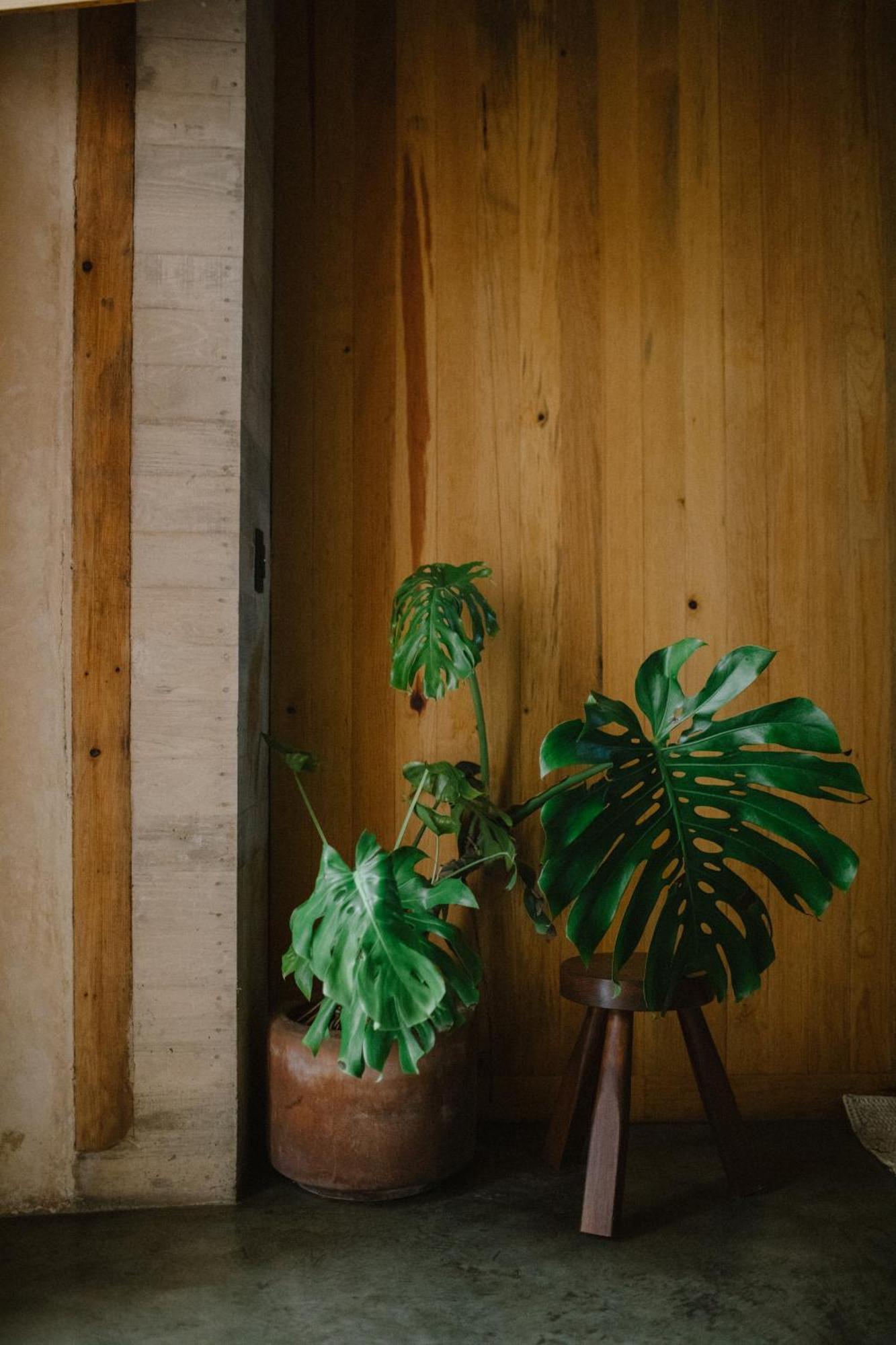 Hotel Escondido Oaxaca, A Member Of Design Hotels Eksteriør billede